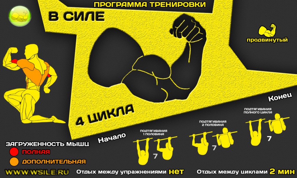 53 тренировочных программы для Начинающих, Продвинутых, Профессионалов и Мастеров 53 тренировочных программы для Начинающих, Продвинутых, Профессионалов и Мастеров
