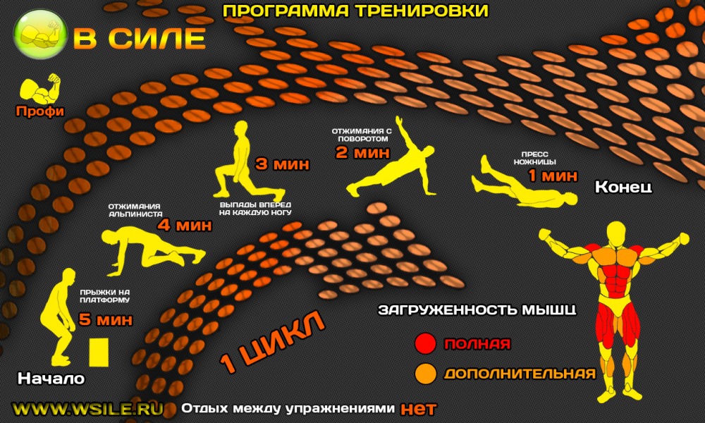 53 тренировочных программы для Начинающих, Продвинутых, Профессионалов и Мастеров 53 тренировочных программы для Начинающих, Продвинутых, Профессионалов и Мастеров