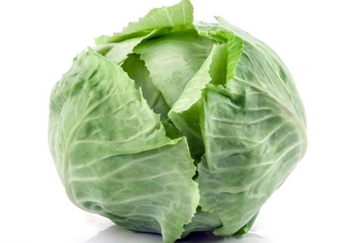 Kapusta