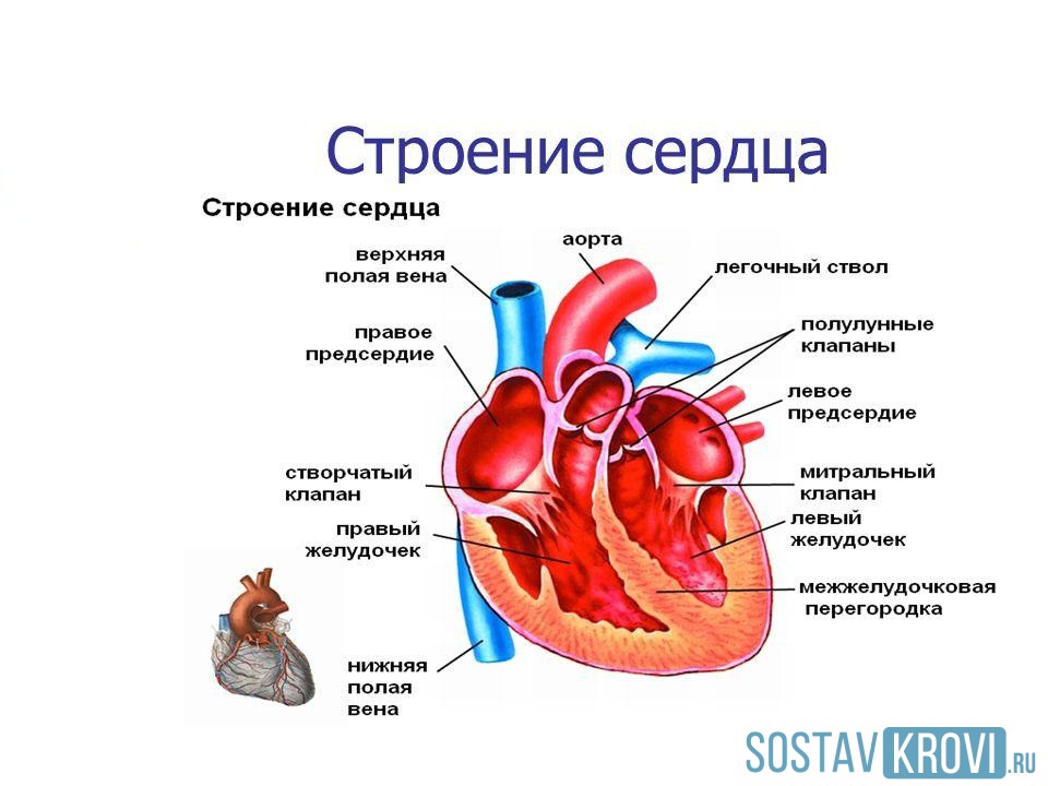 t1571849095aa.jpg