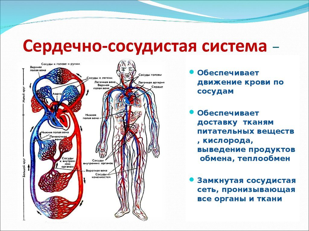 t1571849095ab.jpg