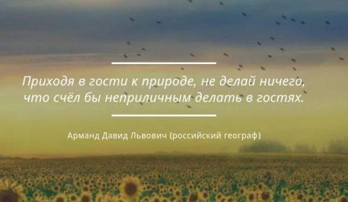 Природа и человек цитаты. Короткие, красивые цитаты, фразы и высказывания про экологию, природу и человека